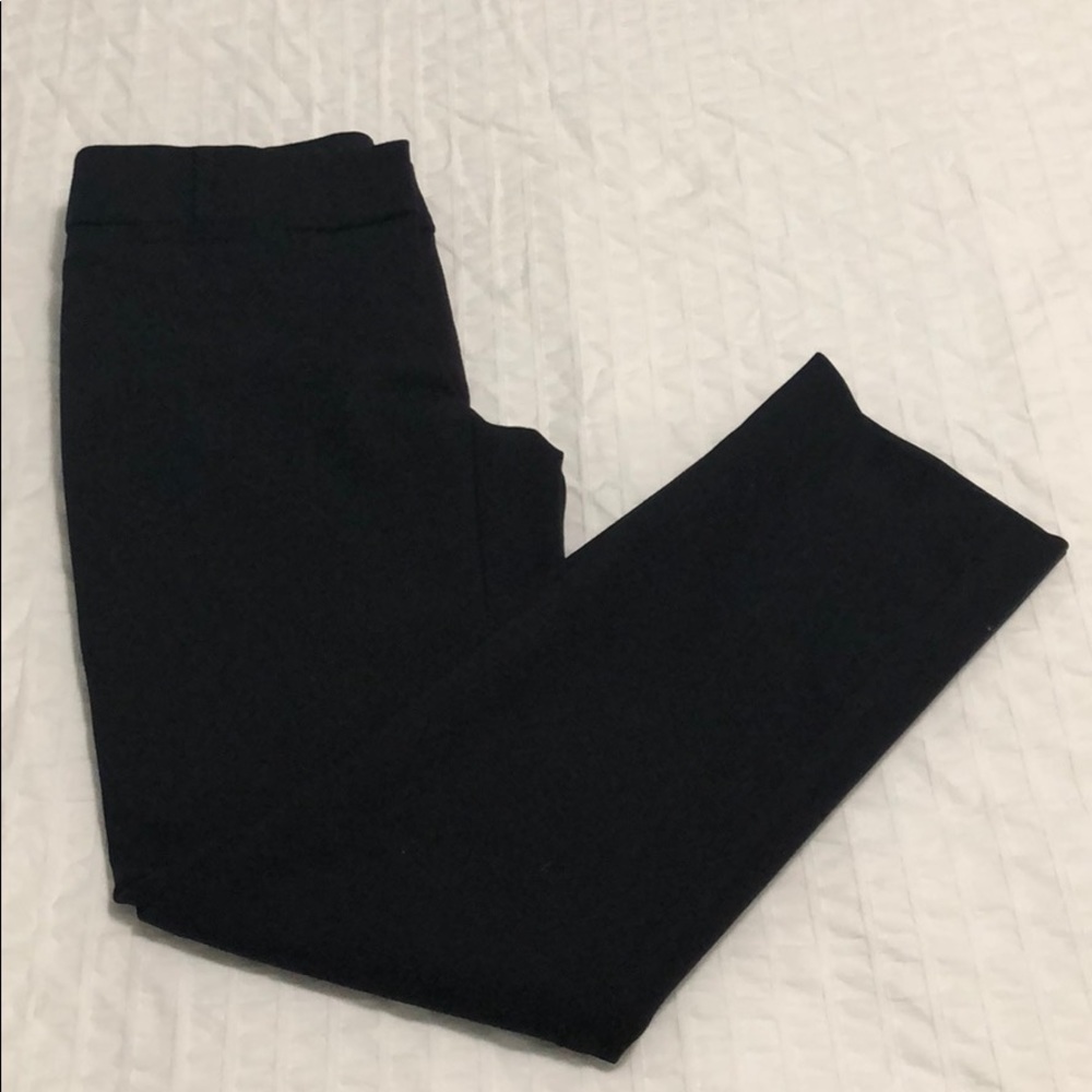 NWOT LOFT Zoe fit pant